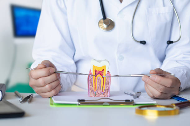 Best Broken or Cracked Tooth Emergency Dentist in Kaser, NY